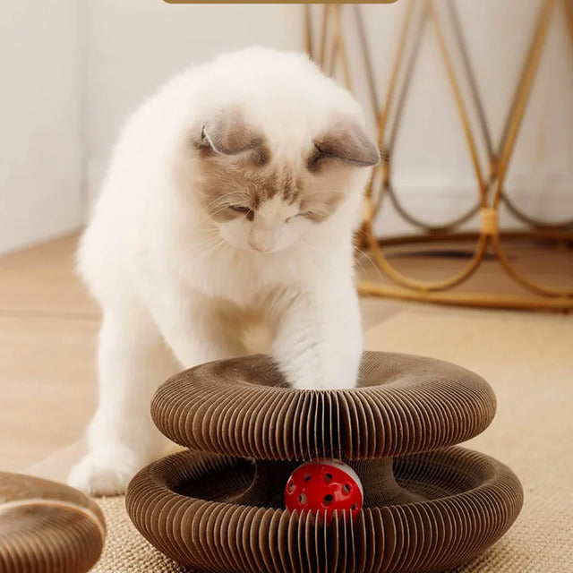 Magic Organ Cat Scratcher – Foldable Accordion Toy with Ball for Interactive Play