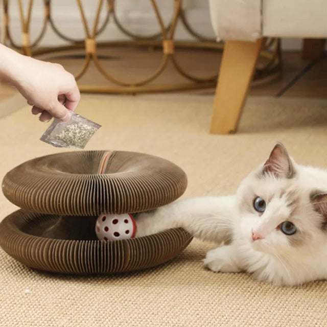 Magic Organ Cat Scratcher – Foldable Accordion Toy with Ball for Interactive Play