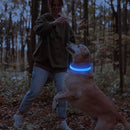 Rechargeable LED Dog Collar