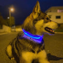Rechargeable LED Dog Collar