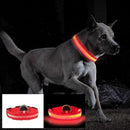 Rechargeable LED Dog Collar