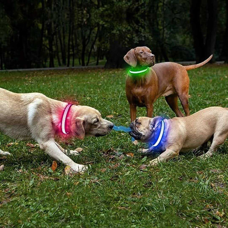 Rechargeable LED Dog Collar
