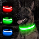 Rechargeable LED Dog Collar
