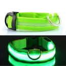 Rechargeable LED Dog Collar