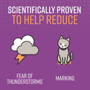 Calming Collar for Cats and Kittens