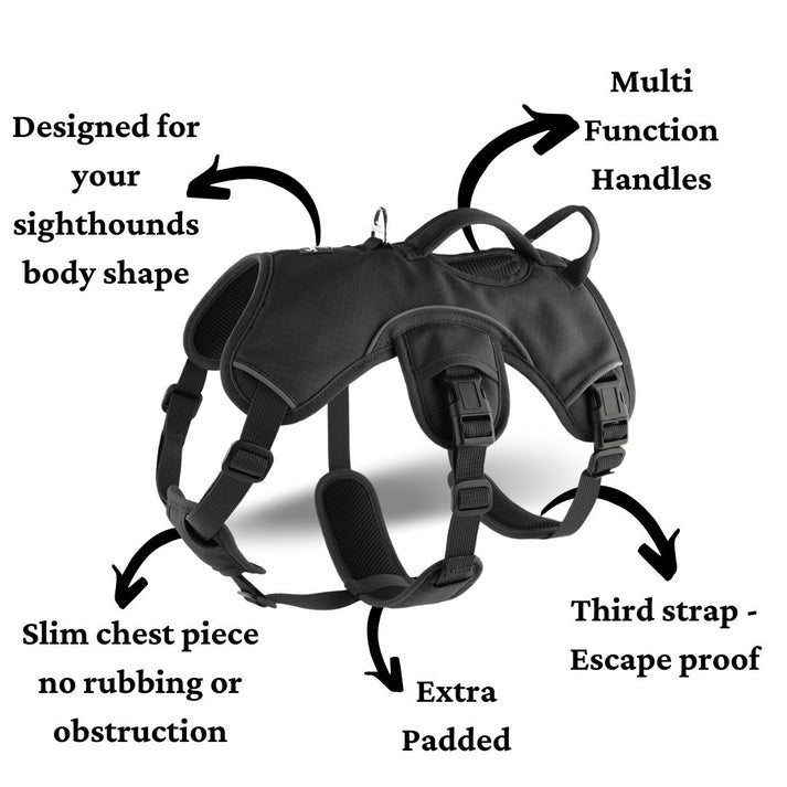 Premium Dog Harness – Comfortable Fit for All Breeds