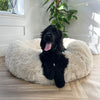 Calming Donut Dog Bed – Plush Anti-Anxiety Pet Bed