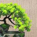 Indoor Water Fountain with LED Lights – Zen Tabletop Décor with Built-in Plant Holder