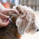 Natural Flea & Tick Collar for Cats & Dogs – Adjustable and Waterproof