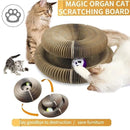 Magic Organ Cat Scratcher – Foldable Accordion Toy with Ball for Interactive Play