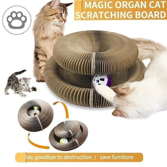 Magic Organ Cat Scratcher – Foldable Accordion Toy with Ball for Interactive Play