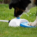 Step-On Dog Water Fountain – Paw-Activated Outdoor Dispenser
